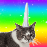 cat unicorn horn