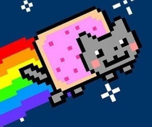 nyan cat stuffed animal