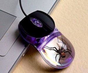 Spider Computer Mouse