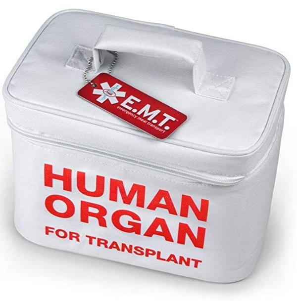 Human organ lunchbox #giftideas