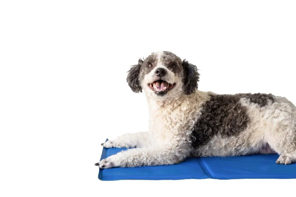Cooling pad
