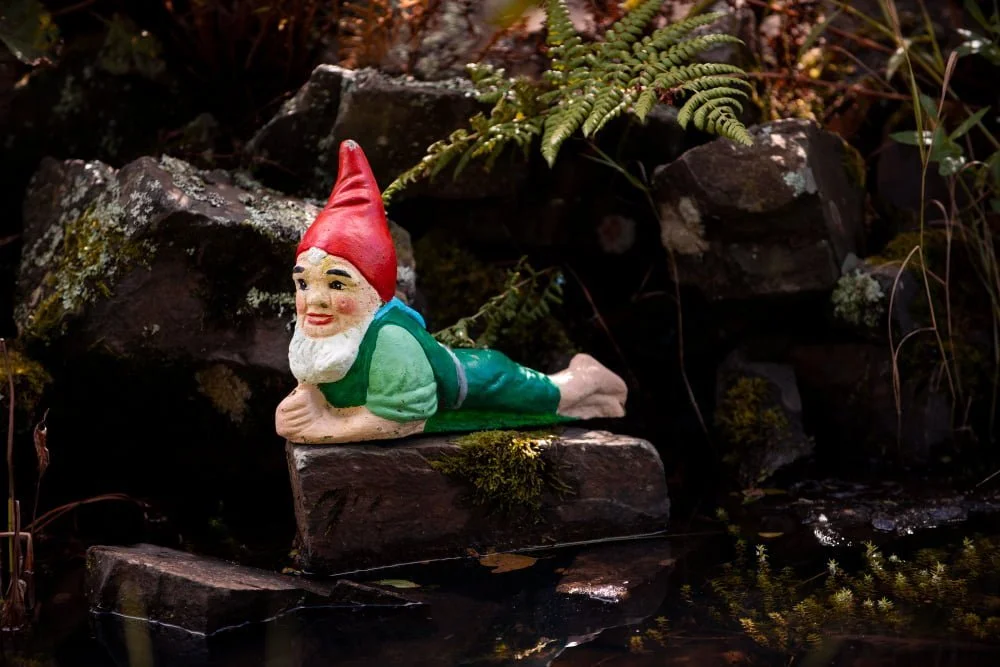 Gnome in the rocks