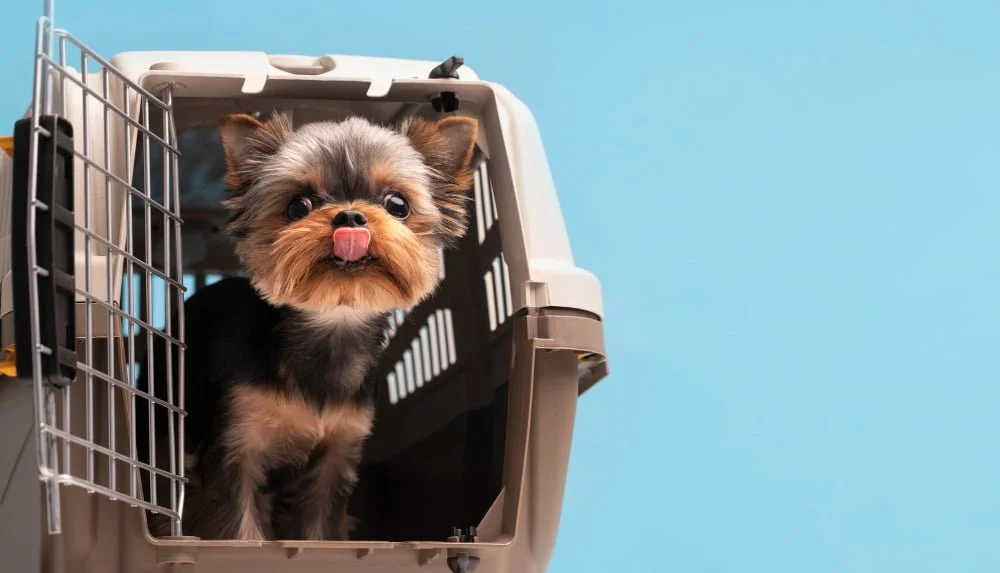 Portable crate
